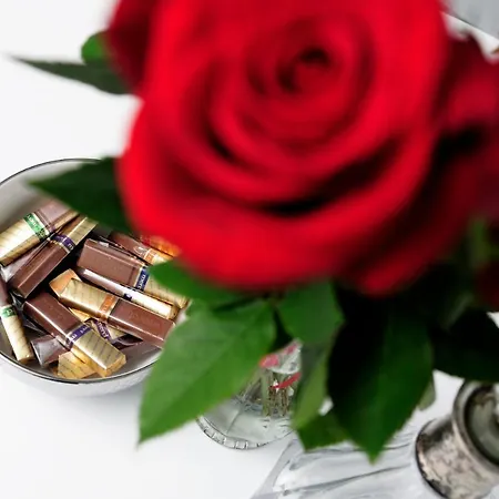 Sleep Well Inzynierska * فروتسواف